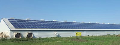 Agricultural Solar Panel Installation